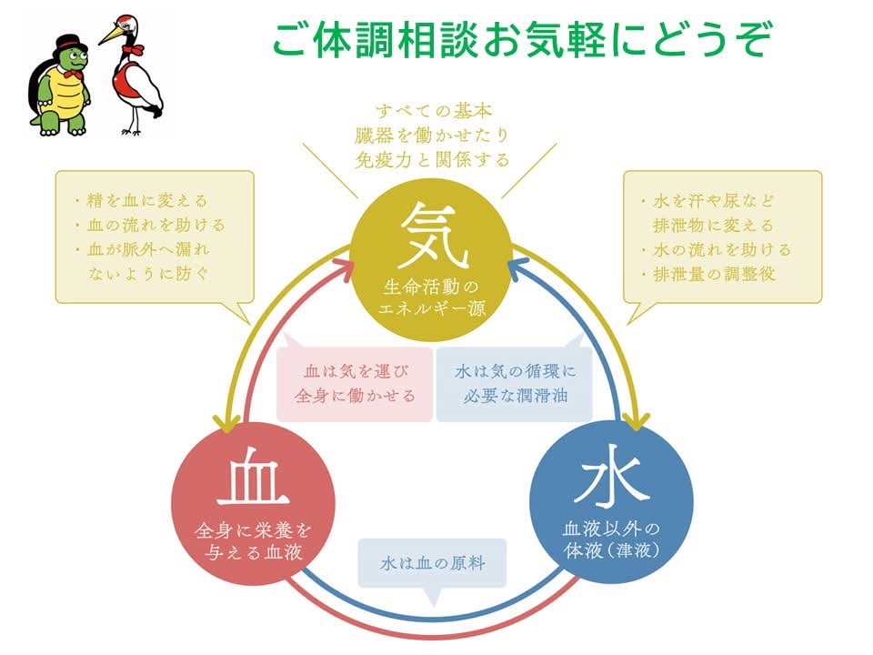 漢方で健康改善される図解解説