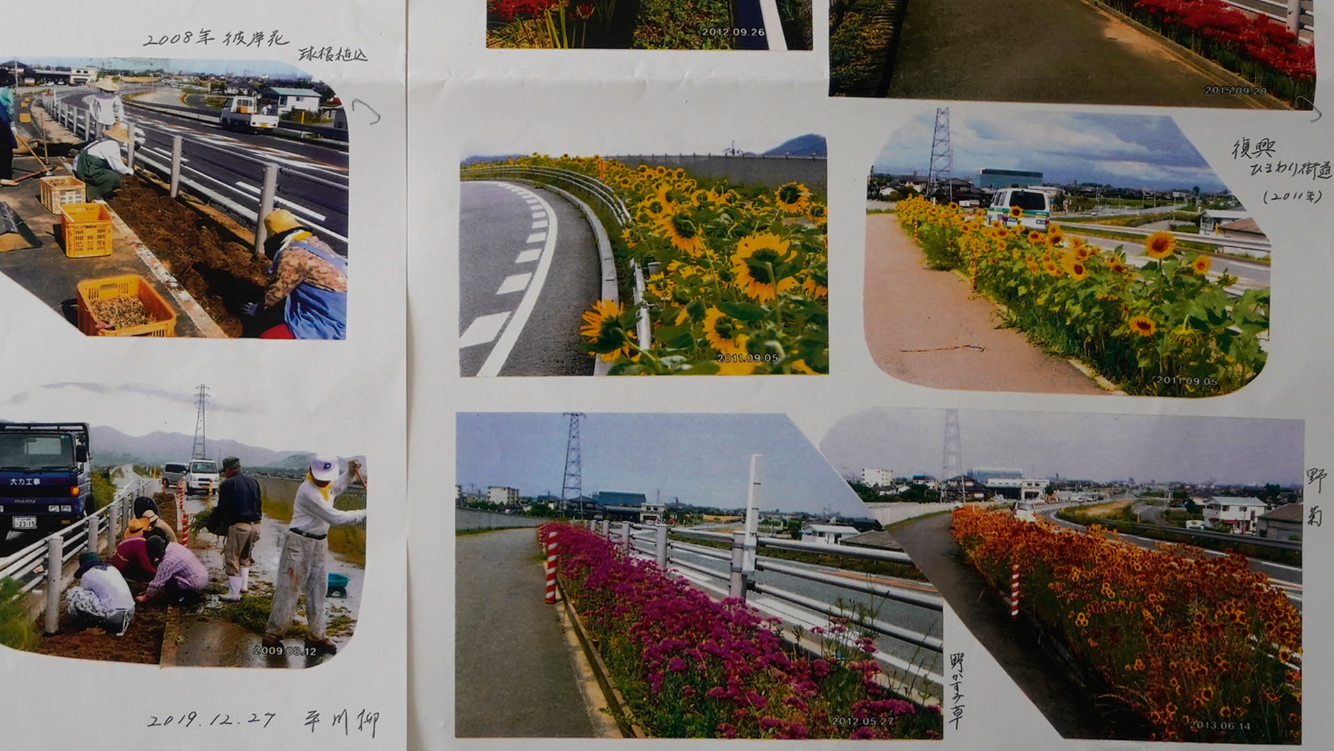 花の写真がたくさん載ったアルバム