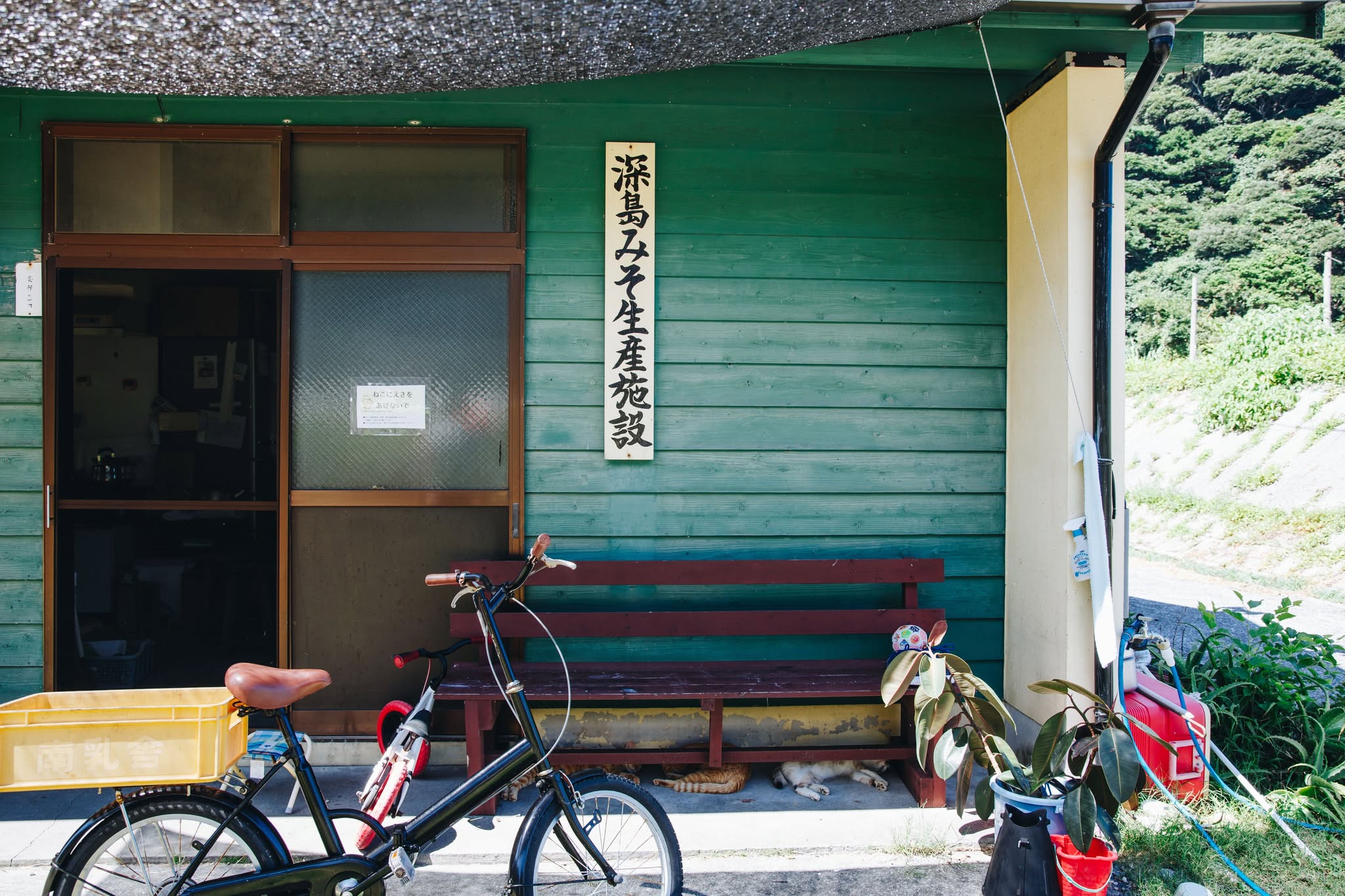 80年以上受け継がれてきた深島みその生産施設