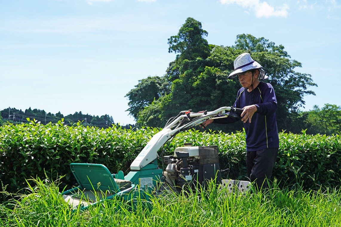 茶畑を耕す元気なおじいちゃん